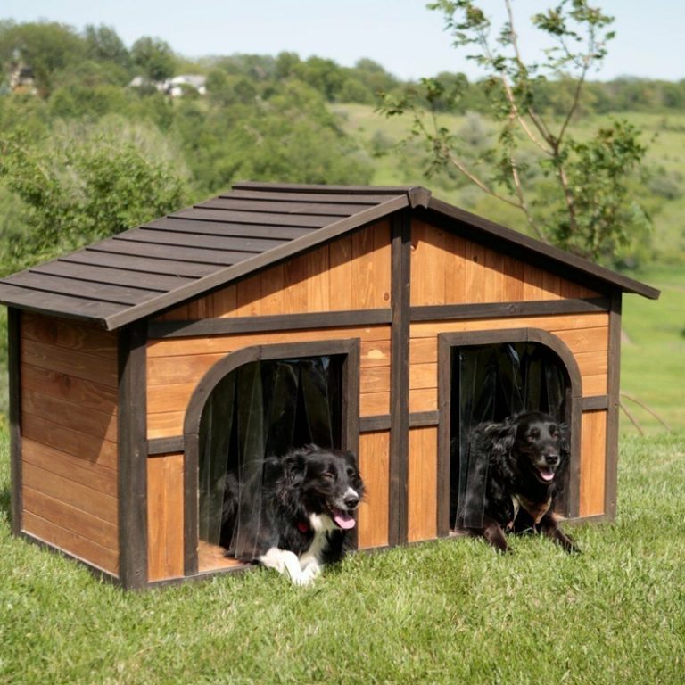 8 Best Extra Large Dog Houses You Can Buy in 2023 Dog Wish