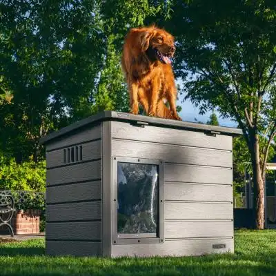 Best overall extra large dog house