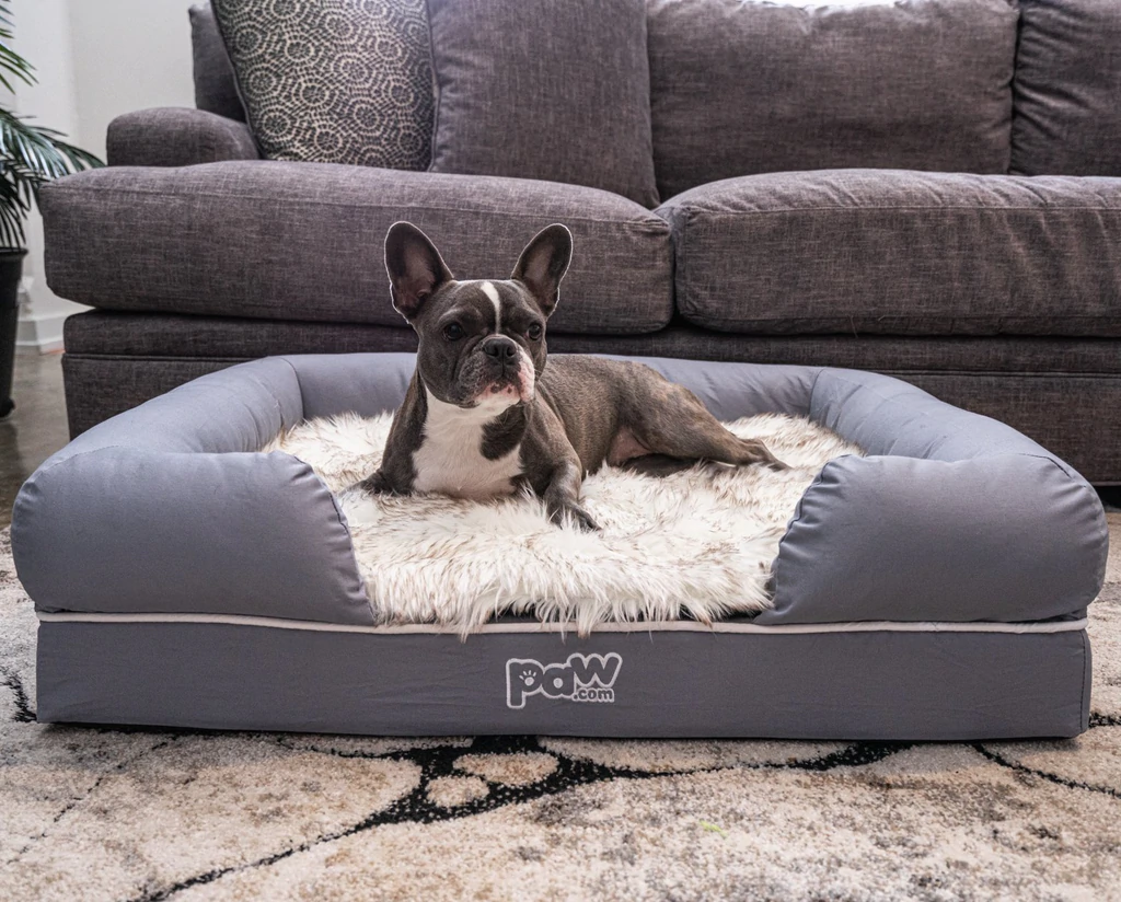 The Best Paw Dog Beds Comfort and Style for Your Pooch Dog Wish